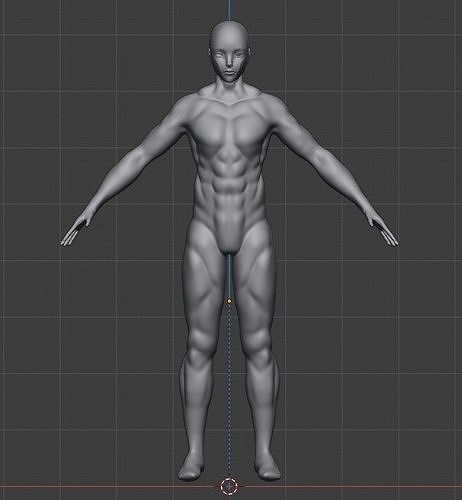 full man muscles  3D model