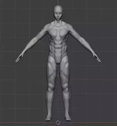 full man muscles  3D model