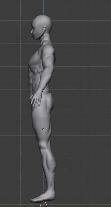 full man muscles  3D model_1