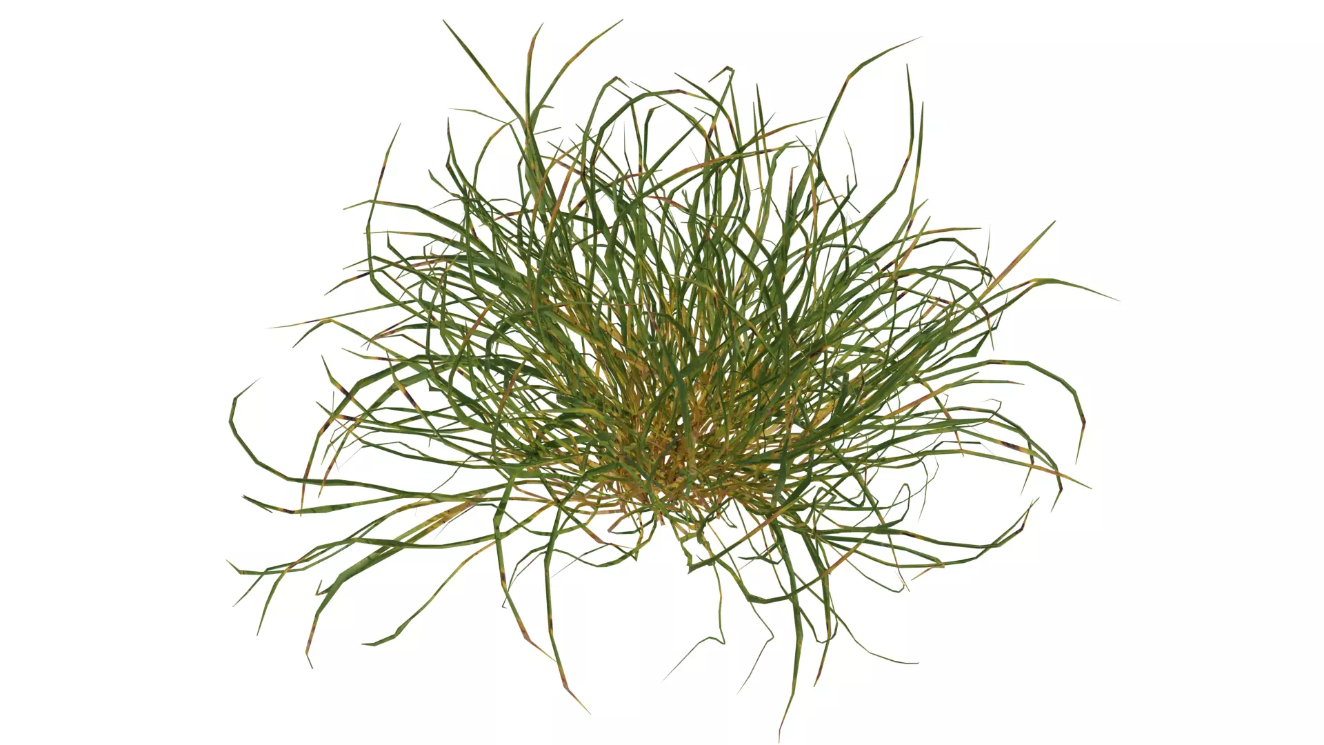 16 Grass Patch Assets Low-poly 3D model