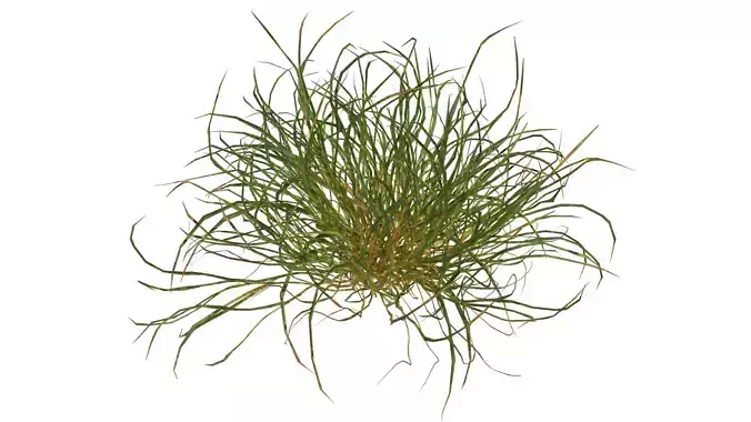 16 Grass Patch Assets  Low-poly 3D model