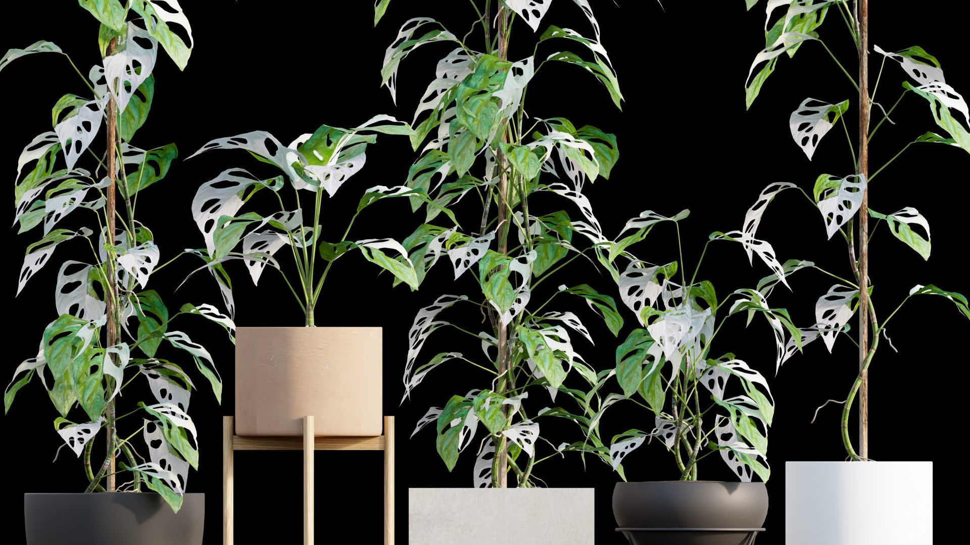 Bundle-15-Interior Plants 3D model_24