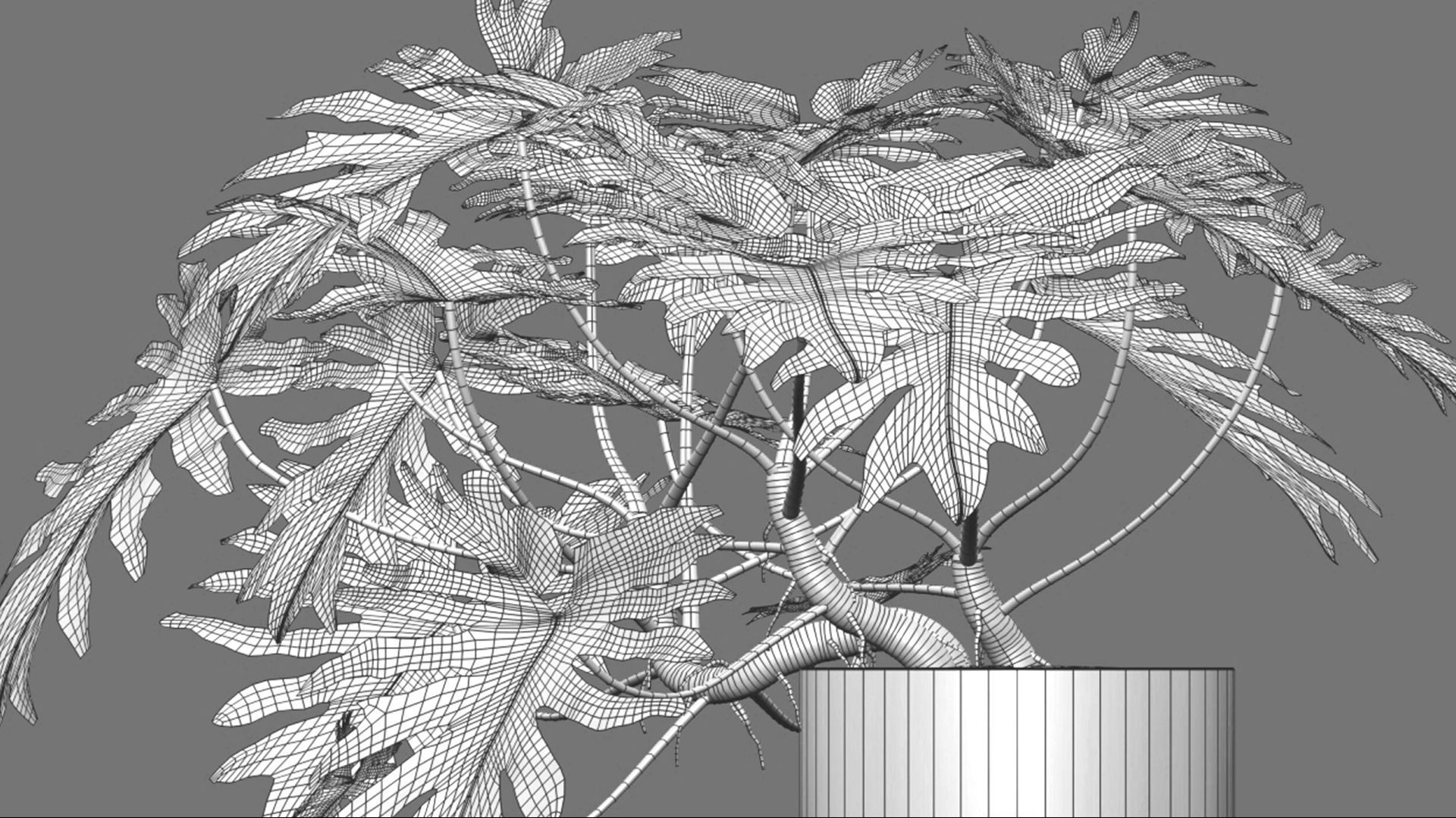Bundle-15-Interior Plants 3D model_36