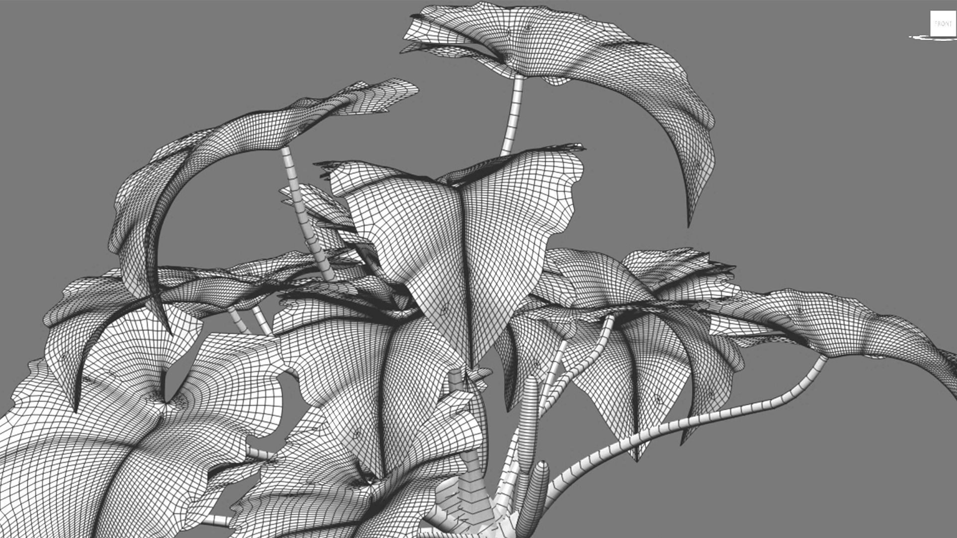 Bundle-15-Interior Plants 3D model_39