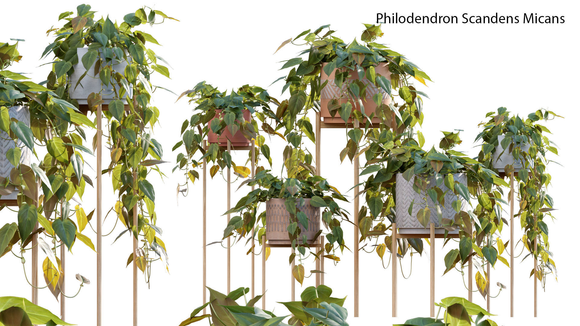 Bundle-15-Interior Plants 3D model_55