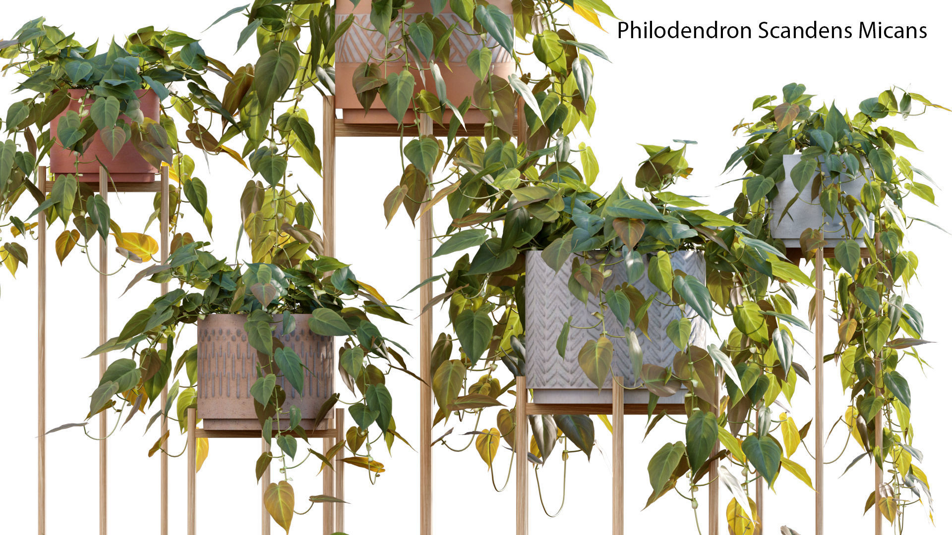 Bundle-15-Interior Plants 3D model_56