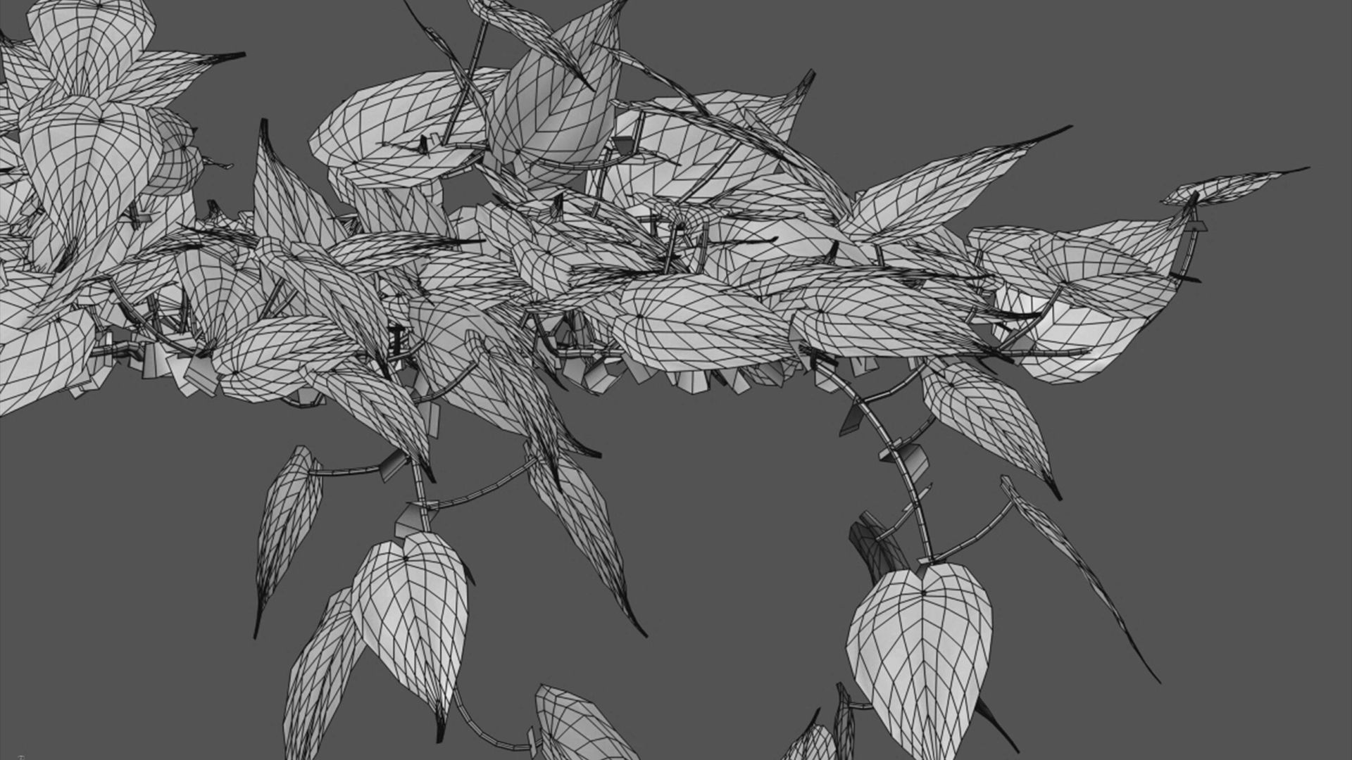 Bundle-15-Interior Plants 3D model_54