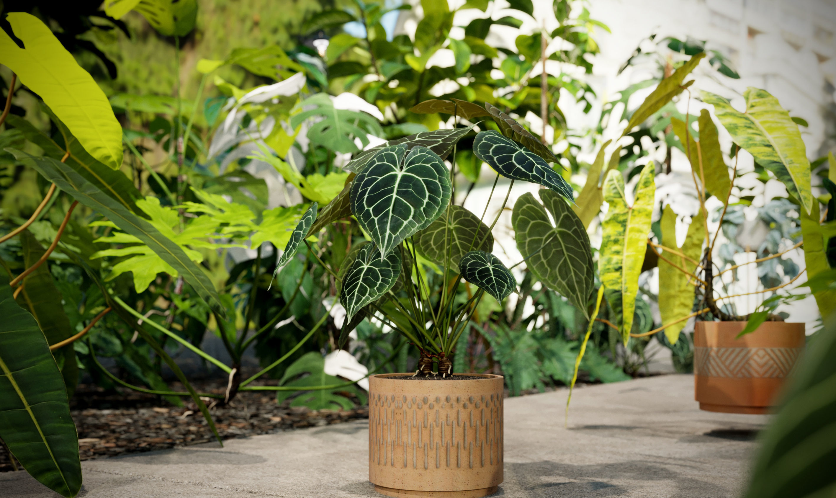 Bundle-15-Interior Plants 3D model_2