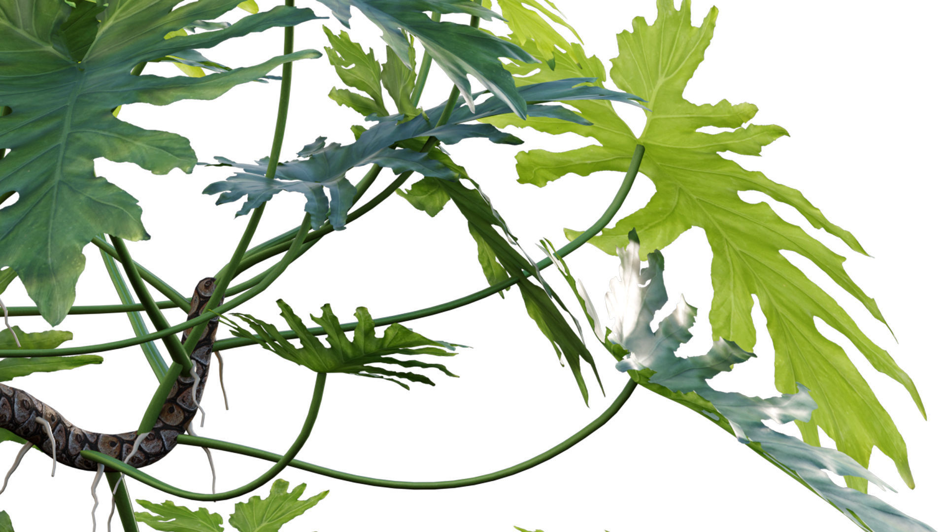 Bundle-15-Interior Plants 3D model_35