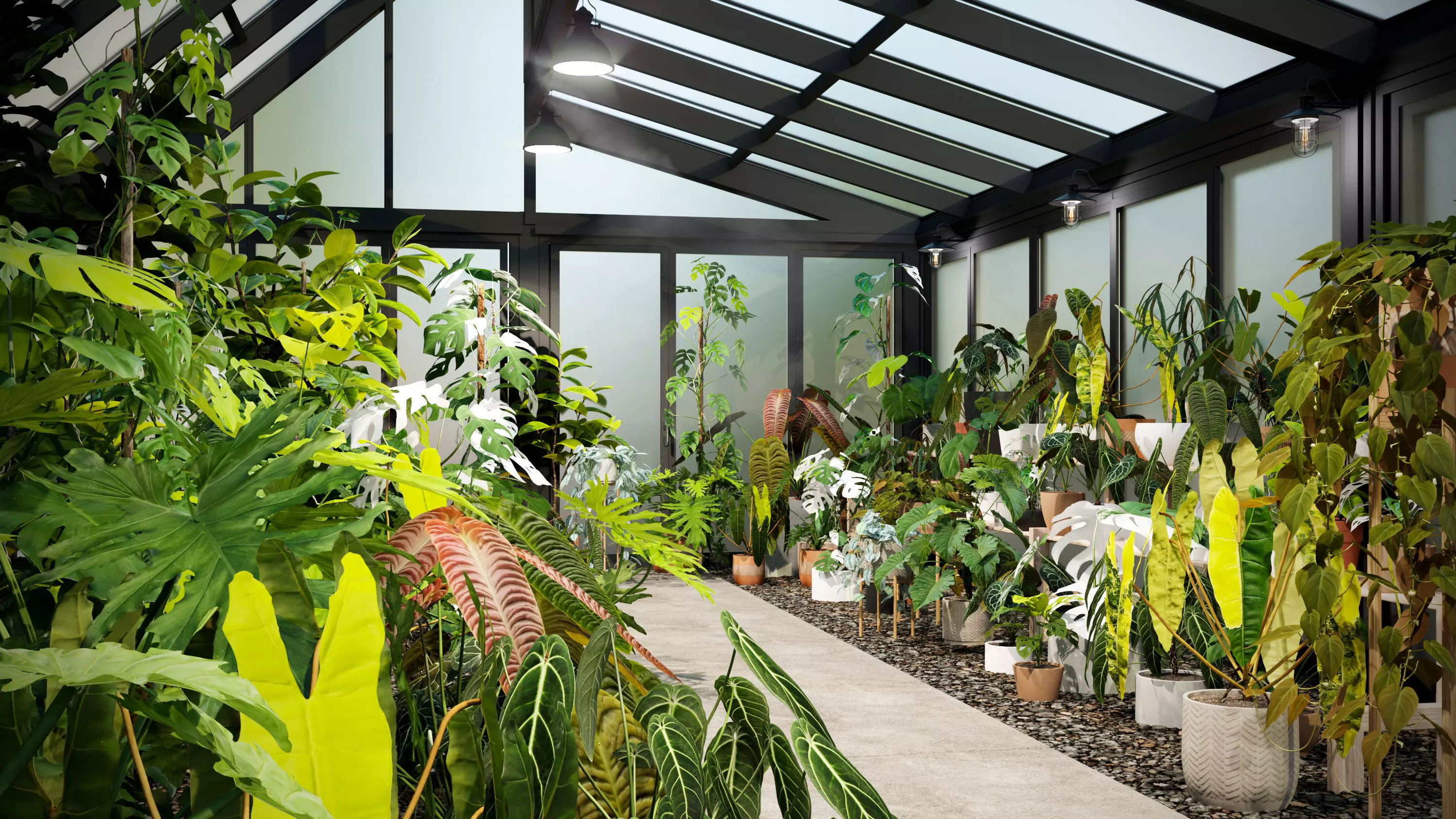 Bundle-15-Interior Plants 3D model_0