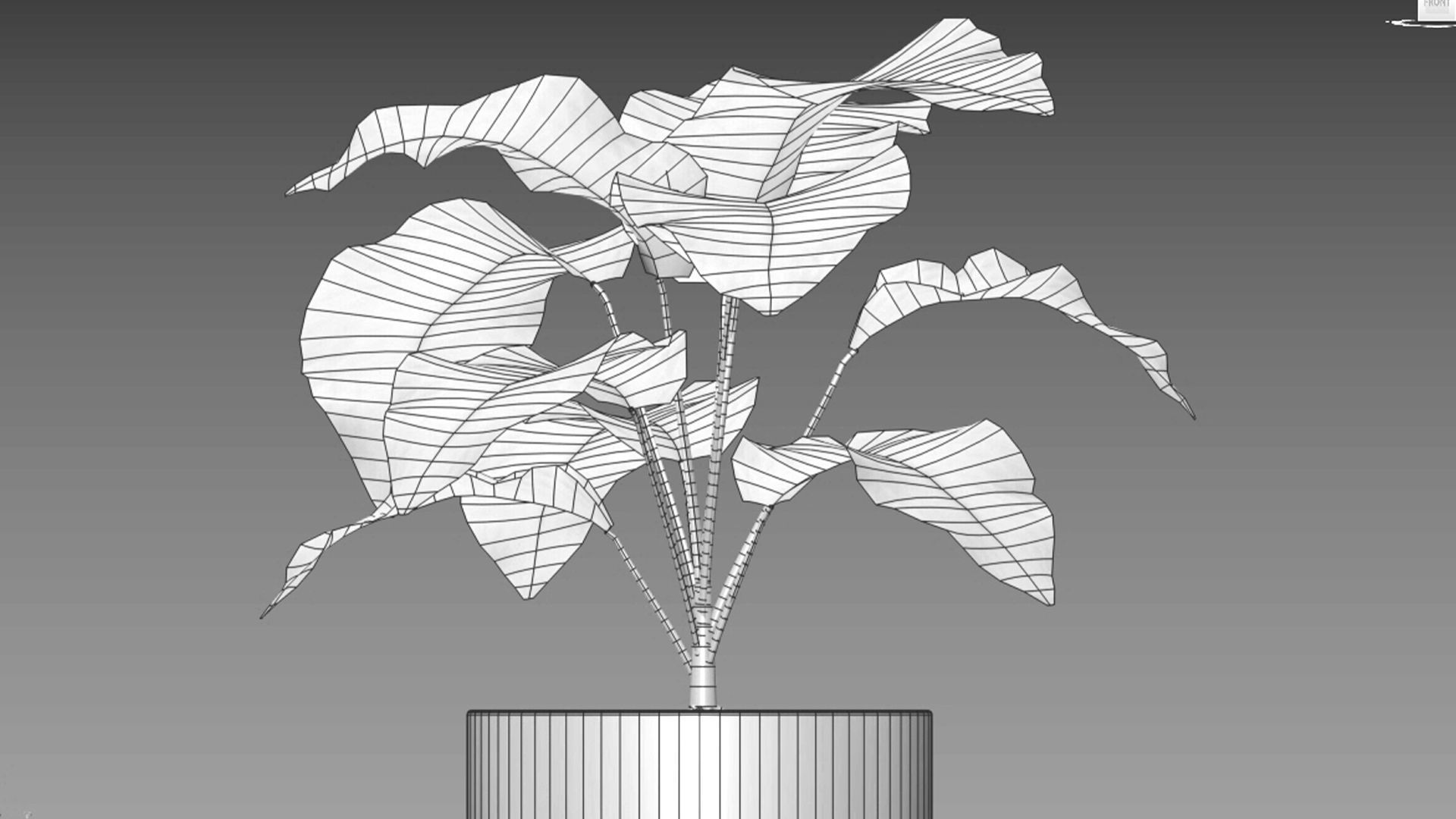 Bundle-15-Interior Plants 3D model_25