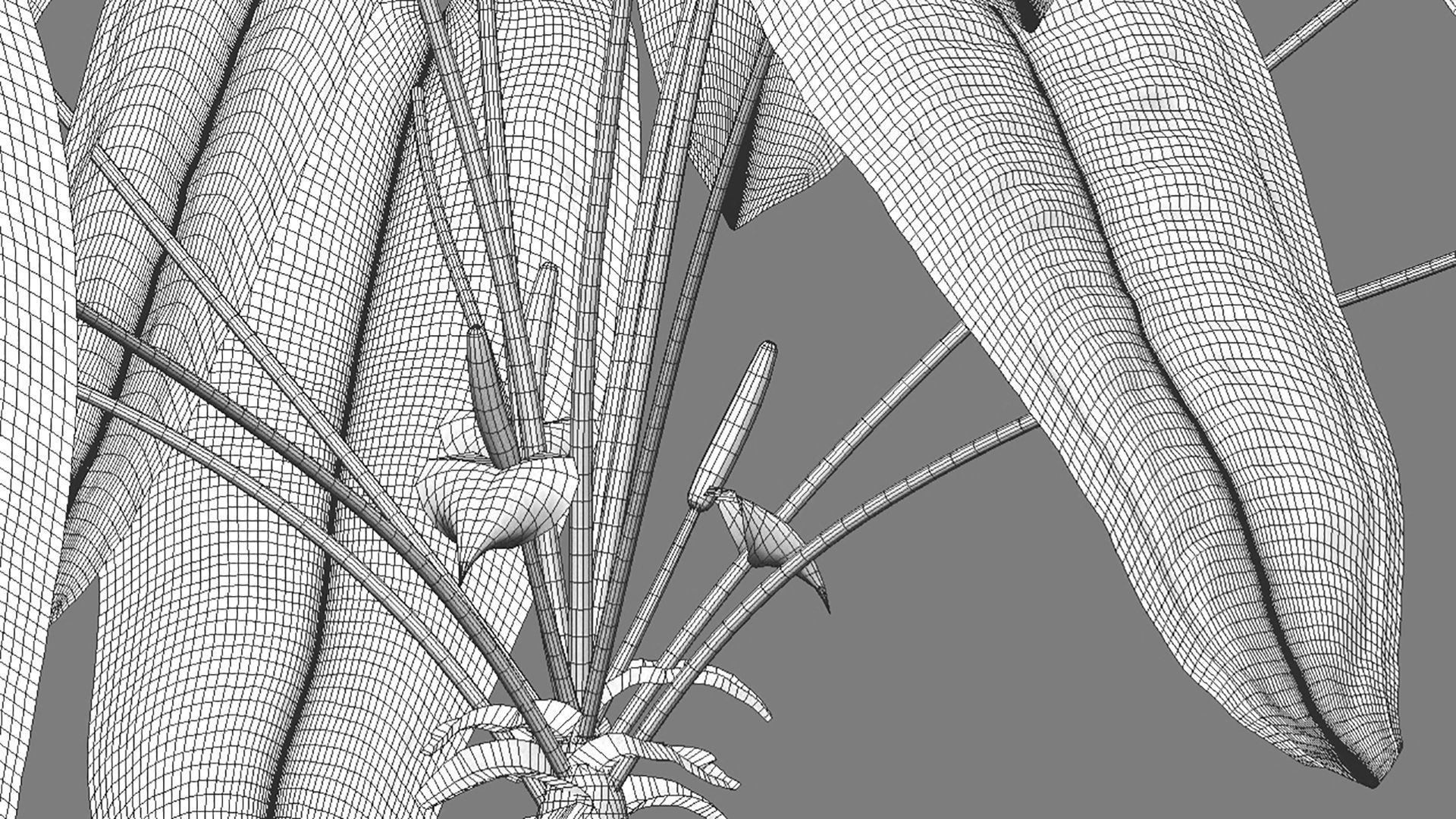 Bundle-15-Interior Plants 3D model_3