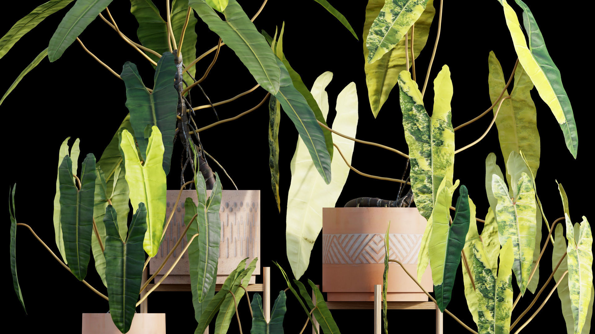 Bundle-15-Interior Plants 3D model_33