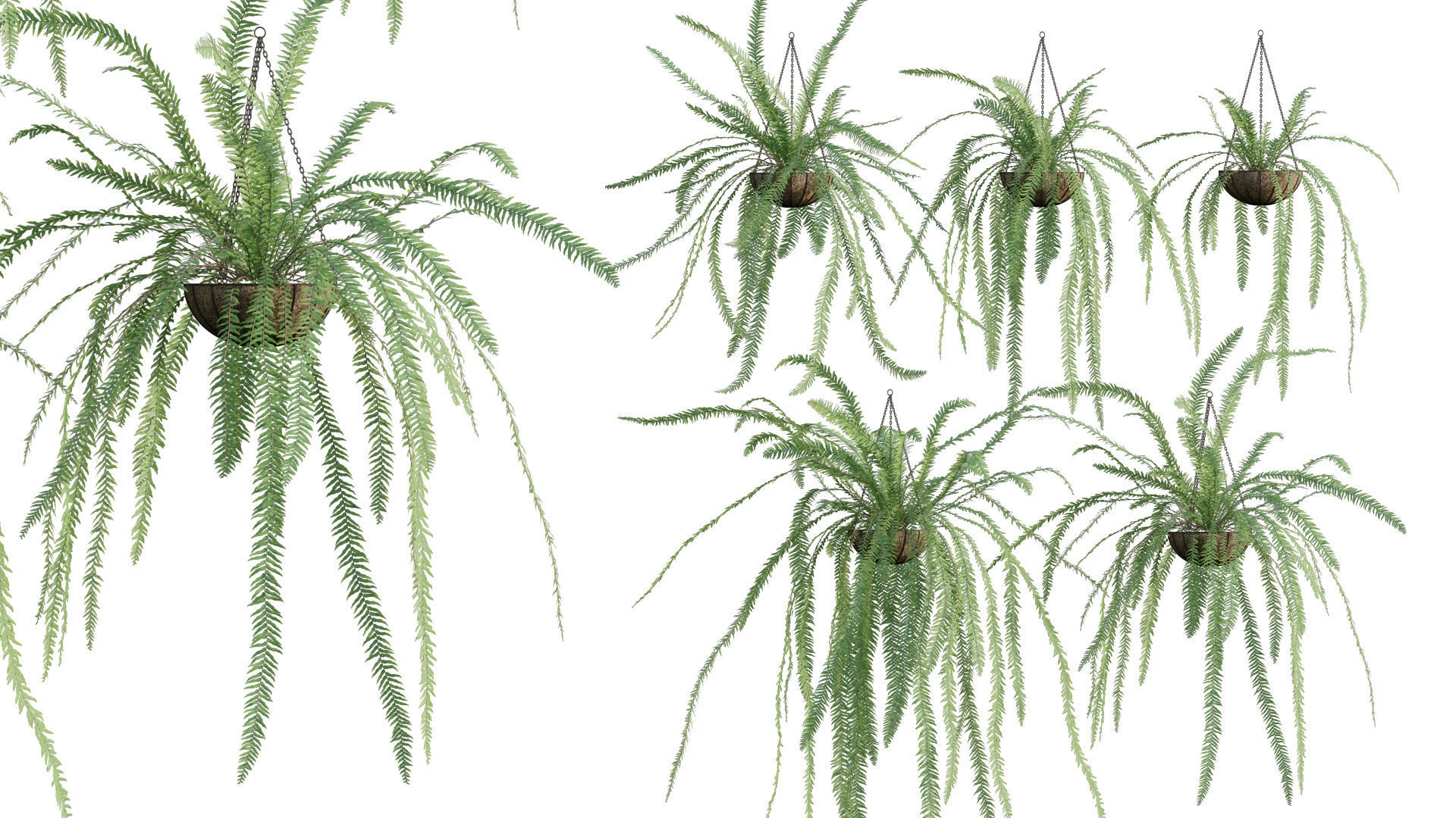 Bundle-15-Interior Plants 3D model_29