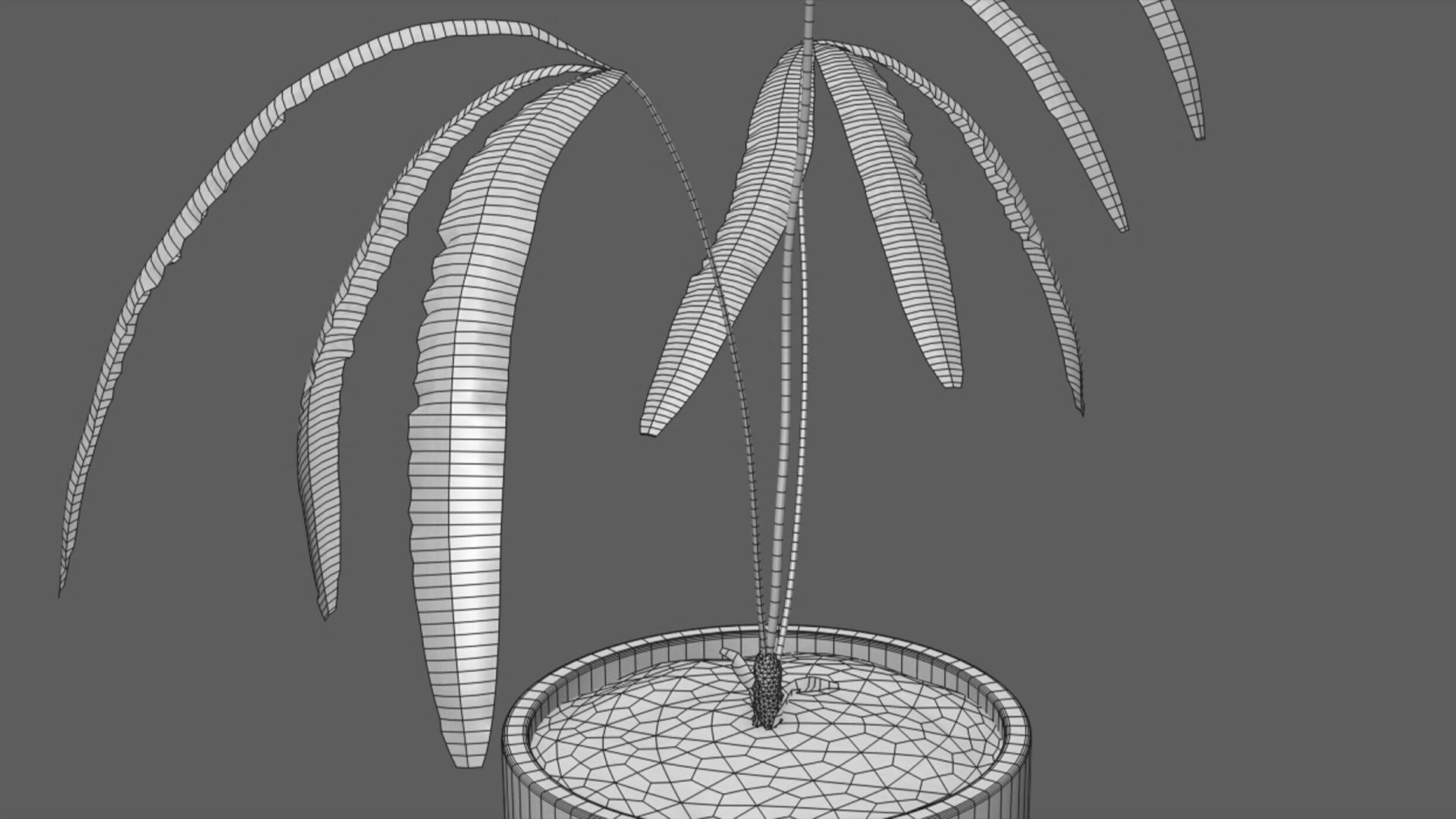 Bundle-15-Interior Plants 3D model_14