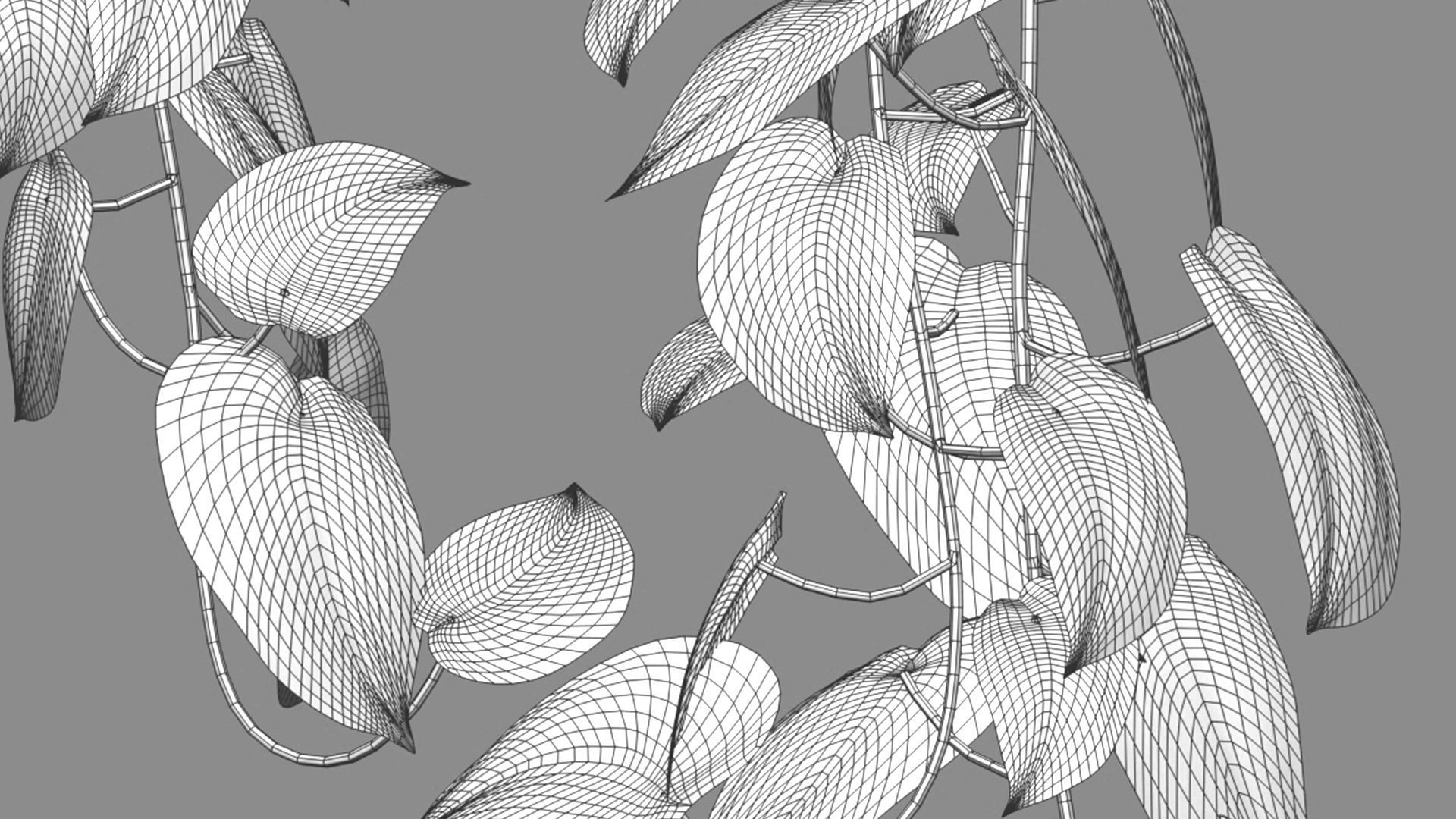 Bundle-15-Interior Plants 3D model_46