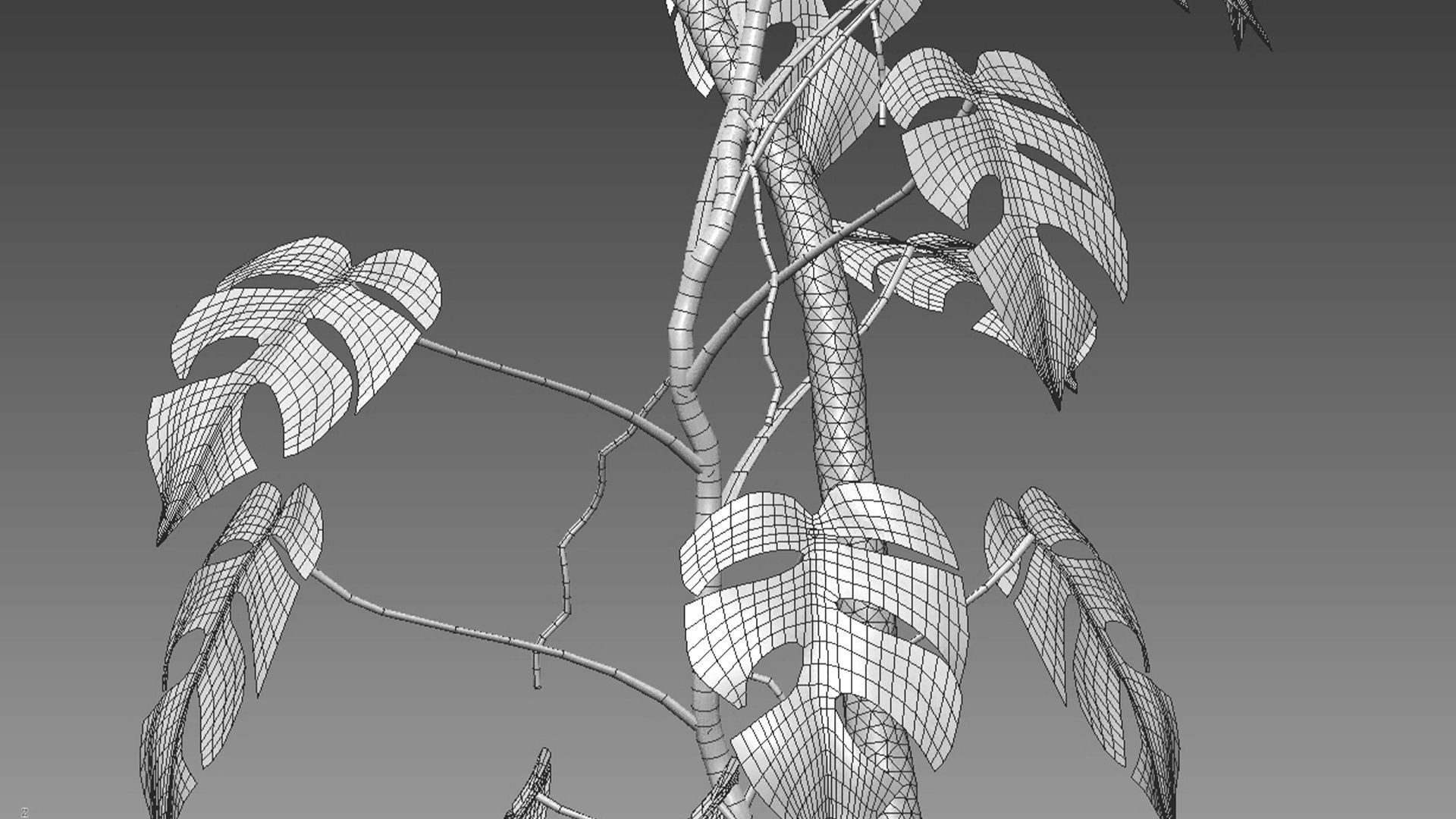 Bundle-15-Interior Plants 3D model_41