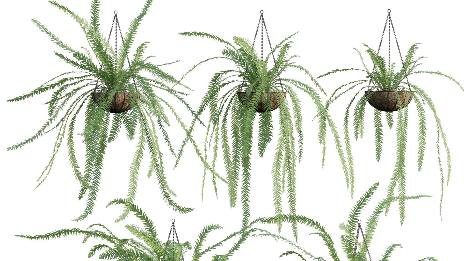 Bundle-15-Interior Plants 3D model_30