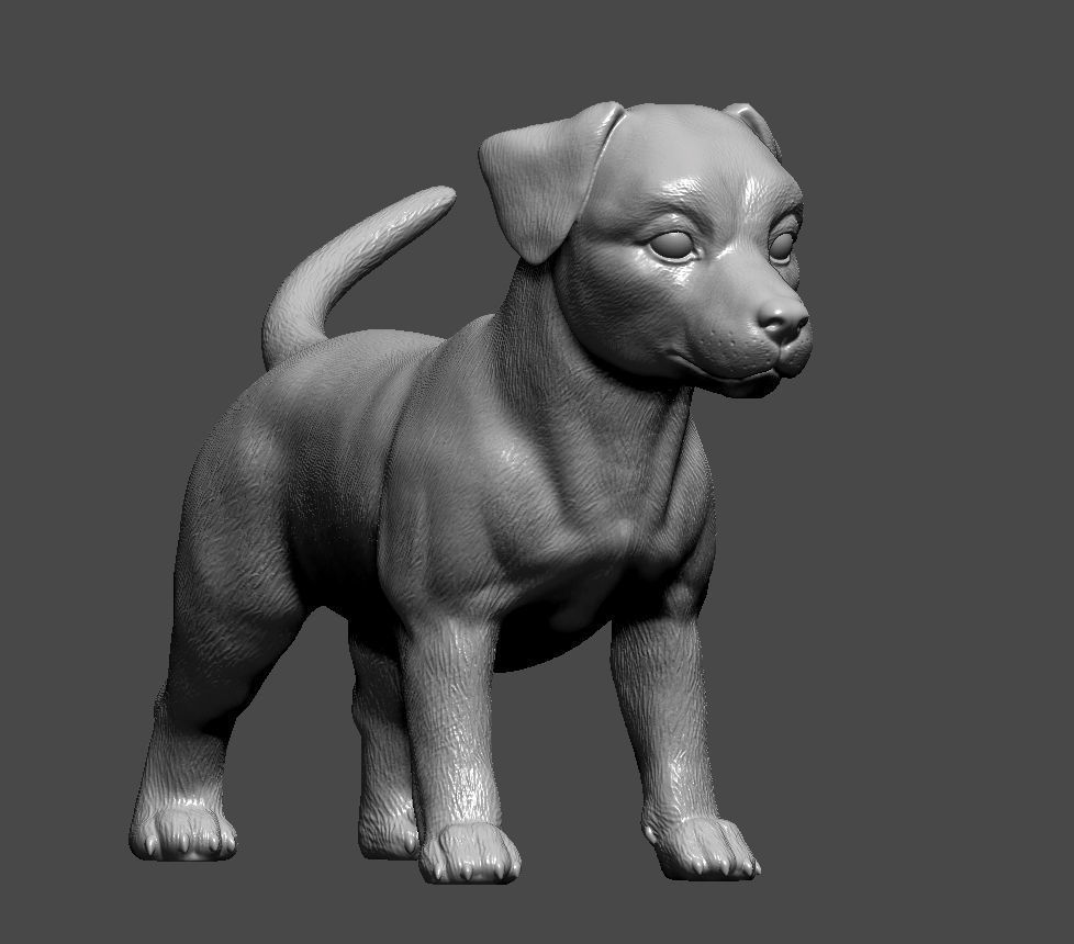 Jack russell puppy 3D print model_7