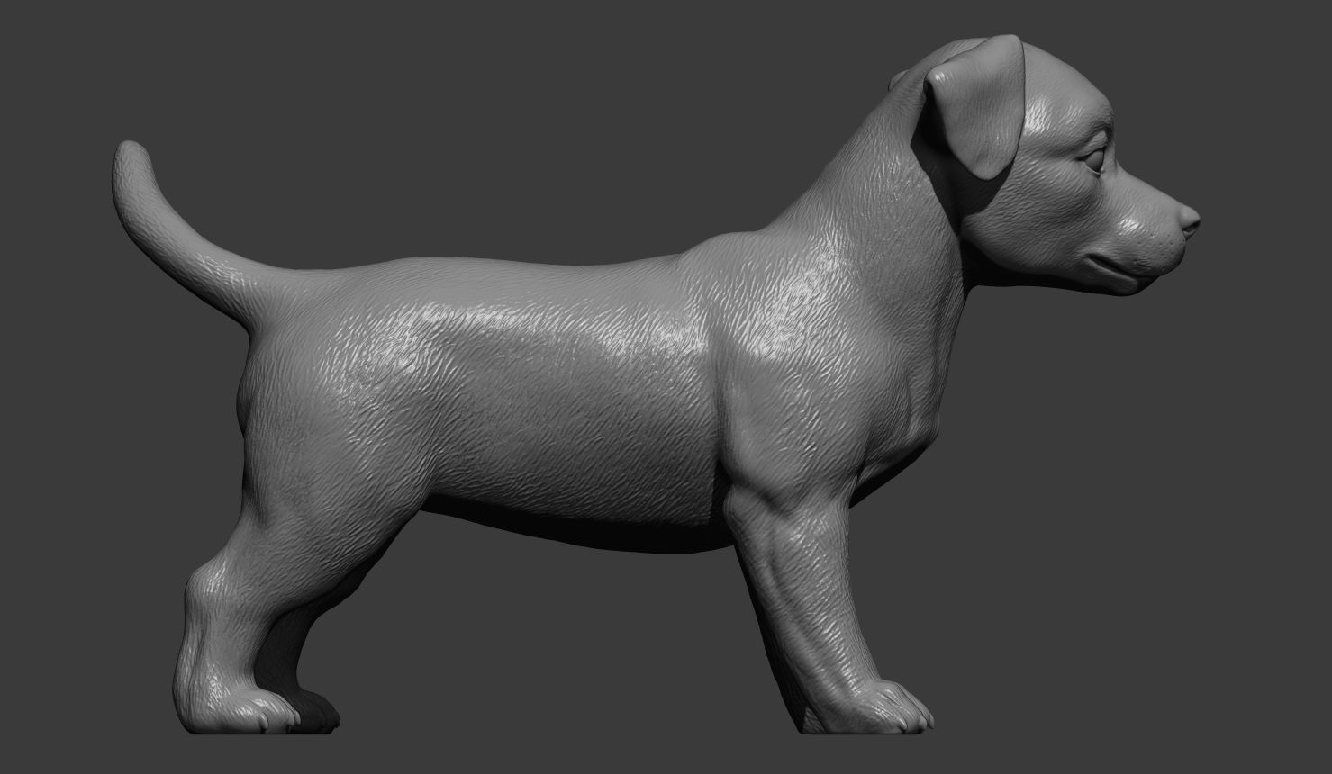 Jack russell puppy 3D print model_5