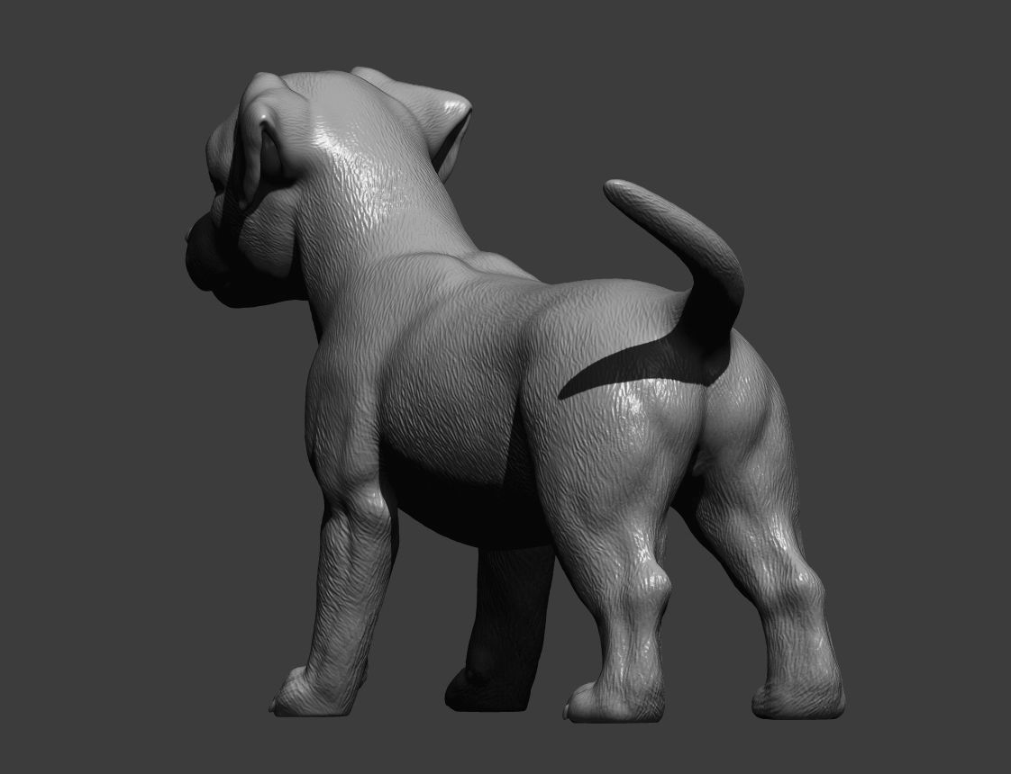 Jack russell puppy 3D print model_3