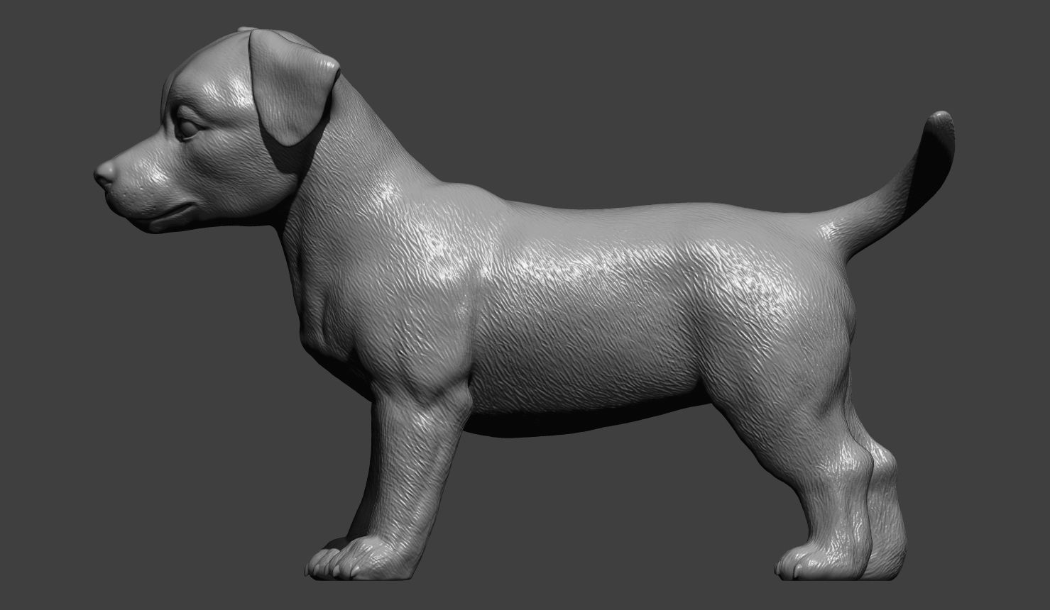 Jack russell puppy 3D print model_4