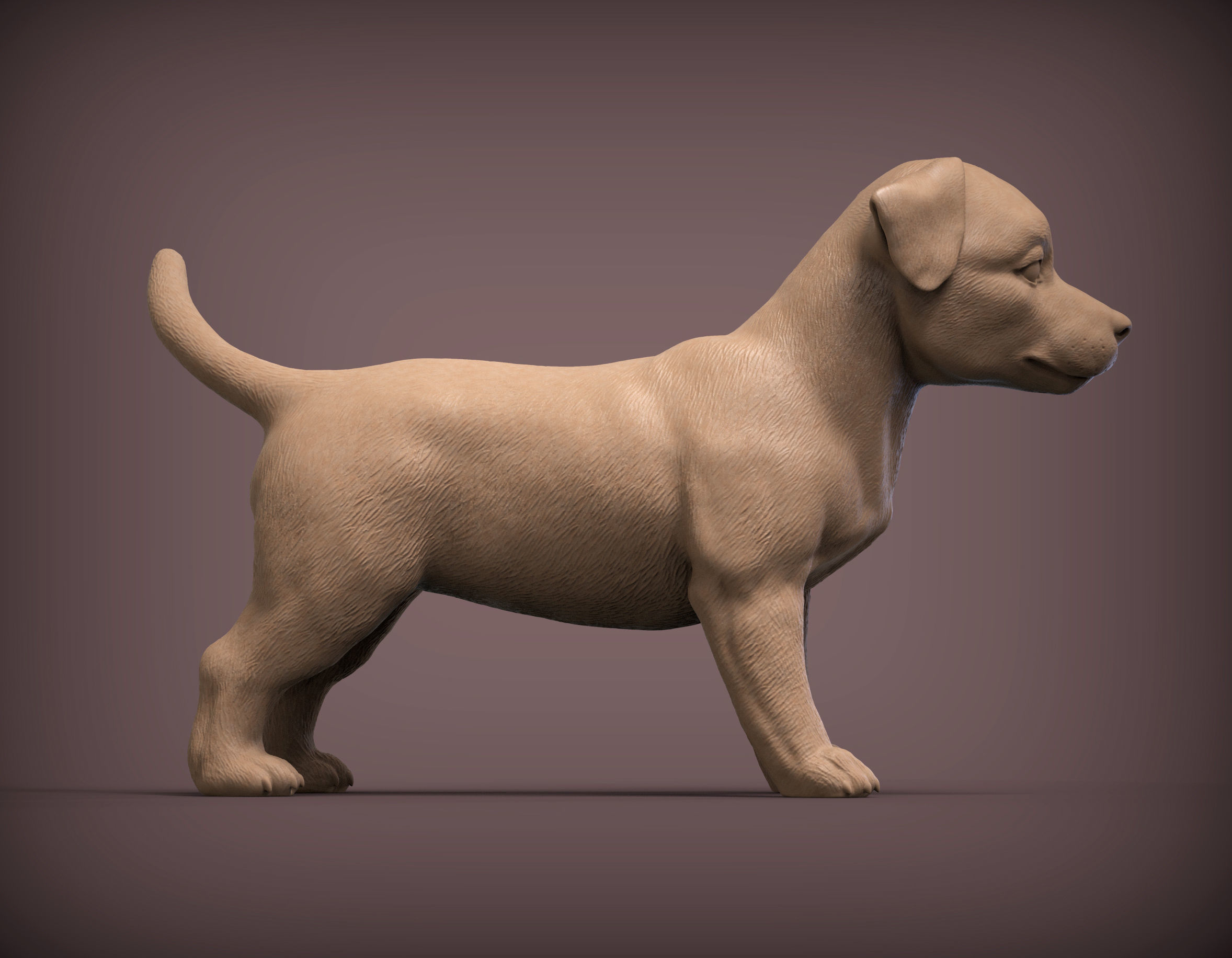 Jack russell puppy 3D print model_1