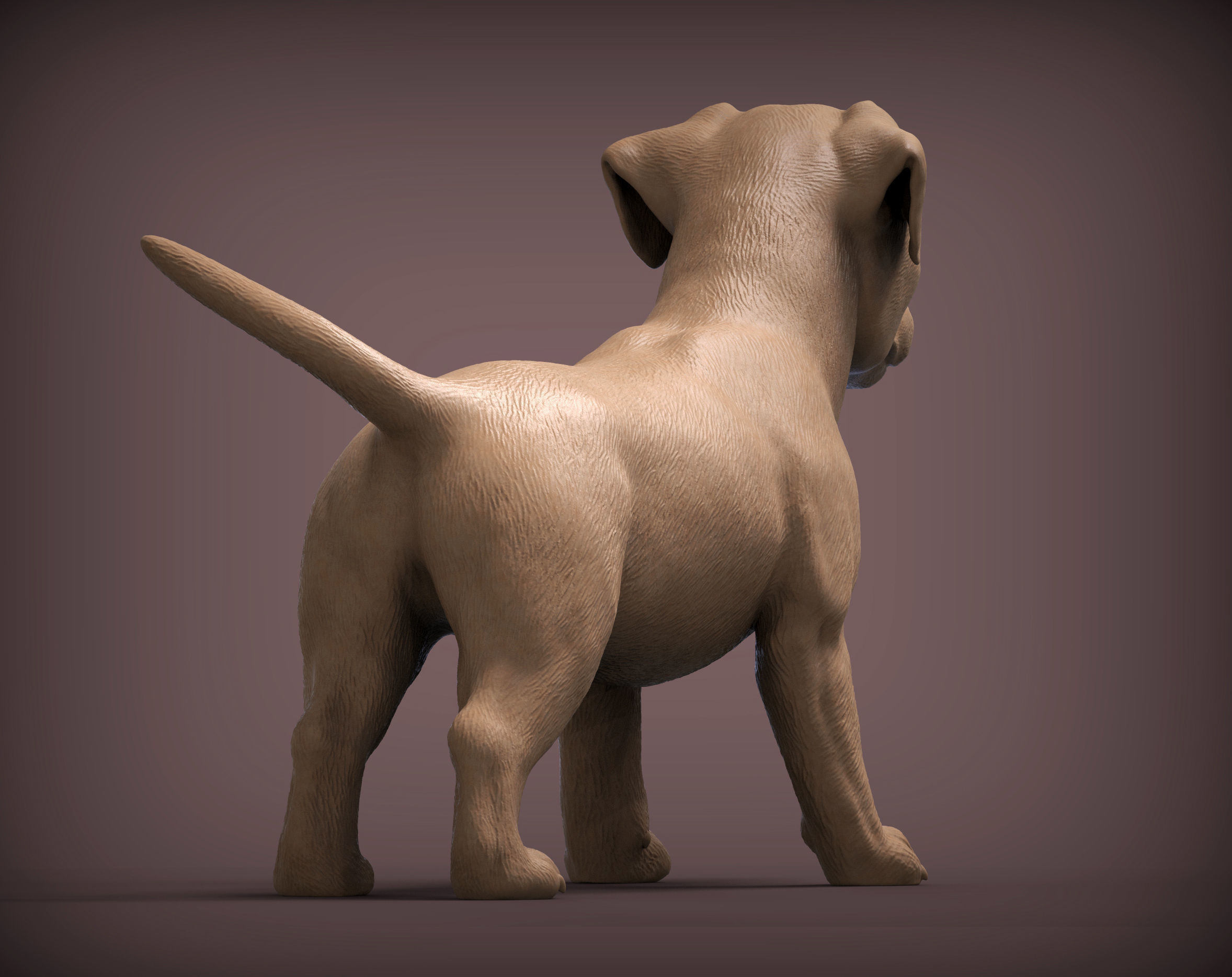 Jack russell puppy 3D print model_2