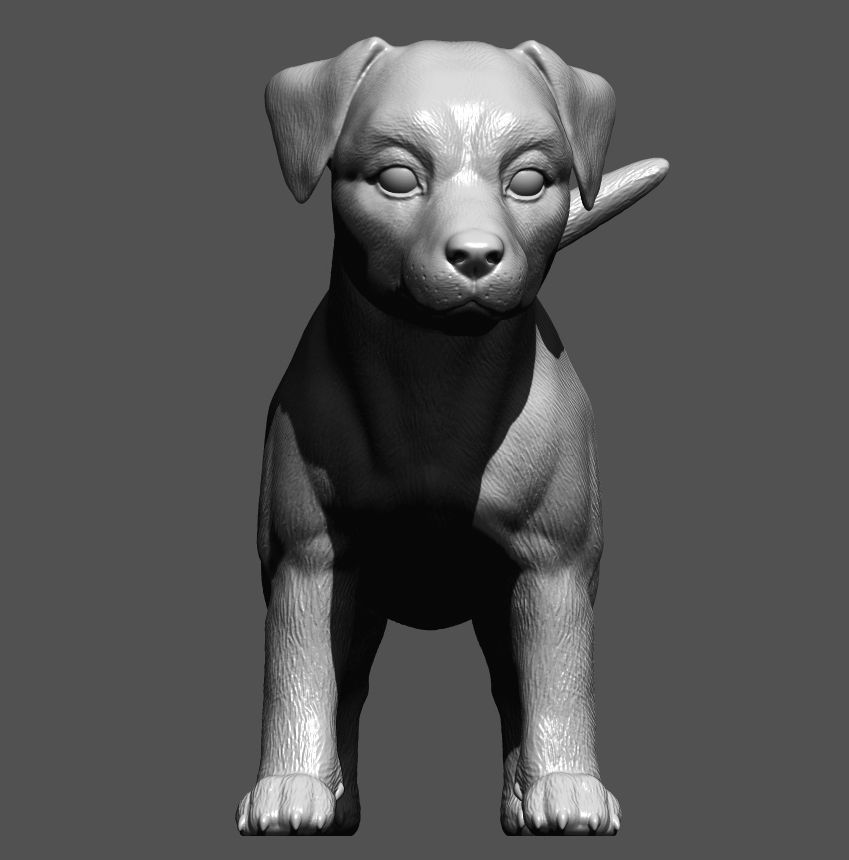 Jack russell puppy 3D print model_6