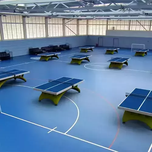 ping pong table