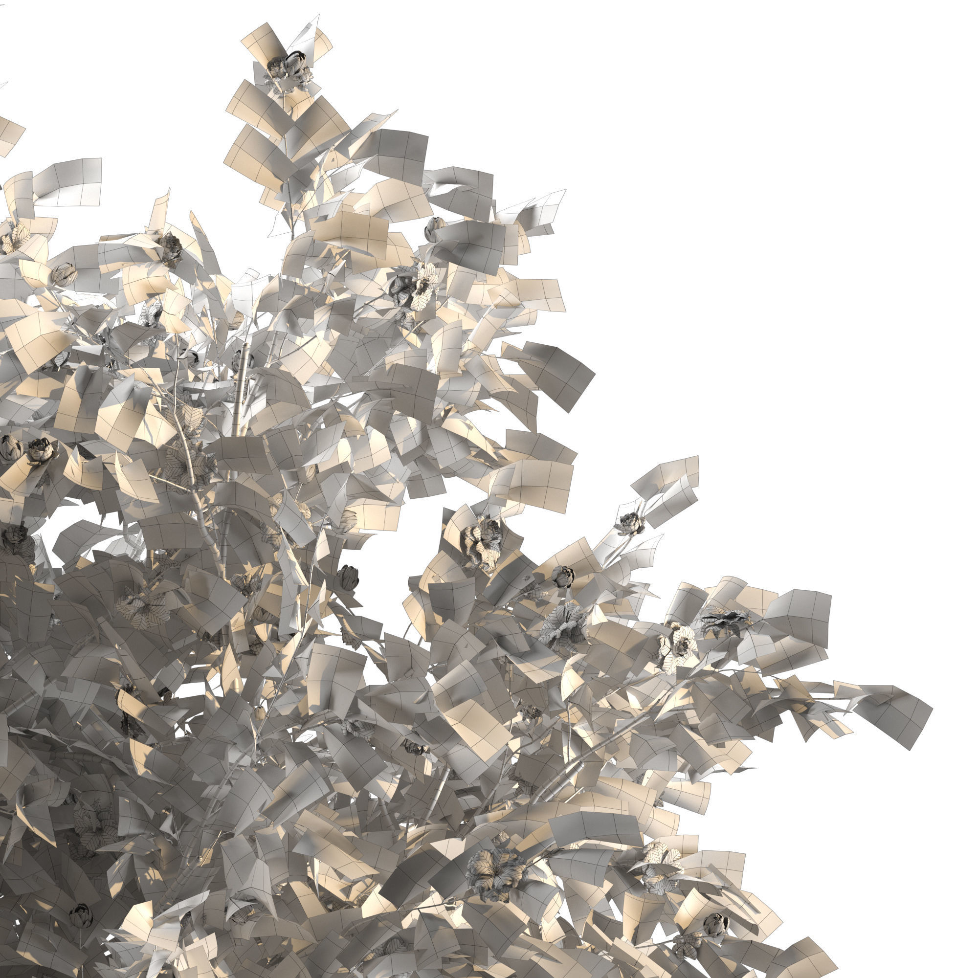 Camellia tree 3D model_4