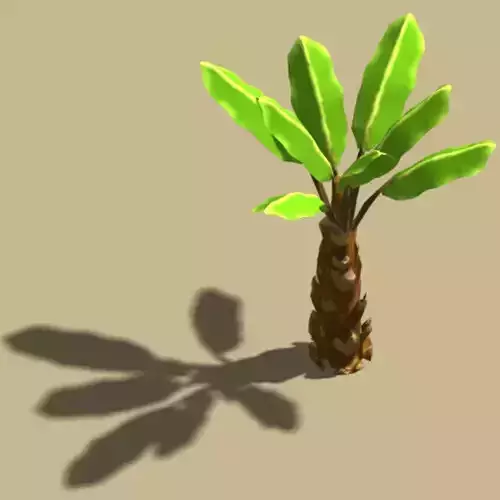 My beautiful palm tree