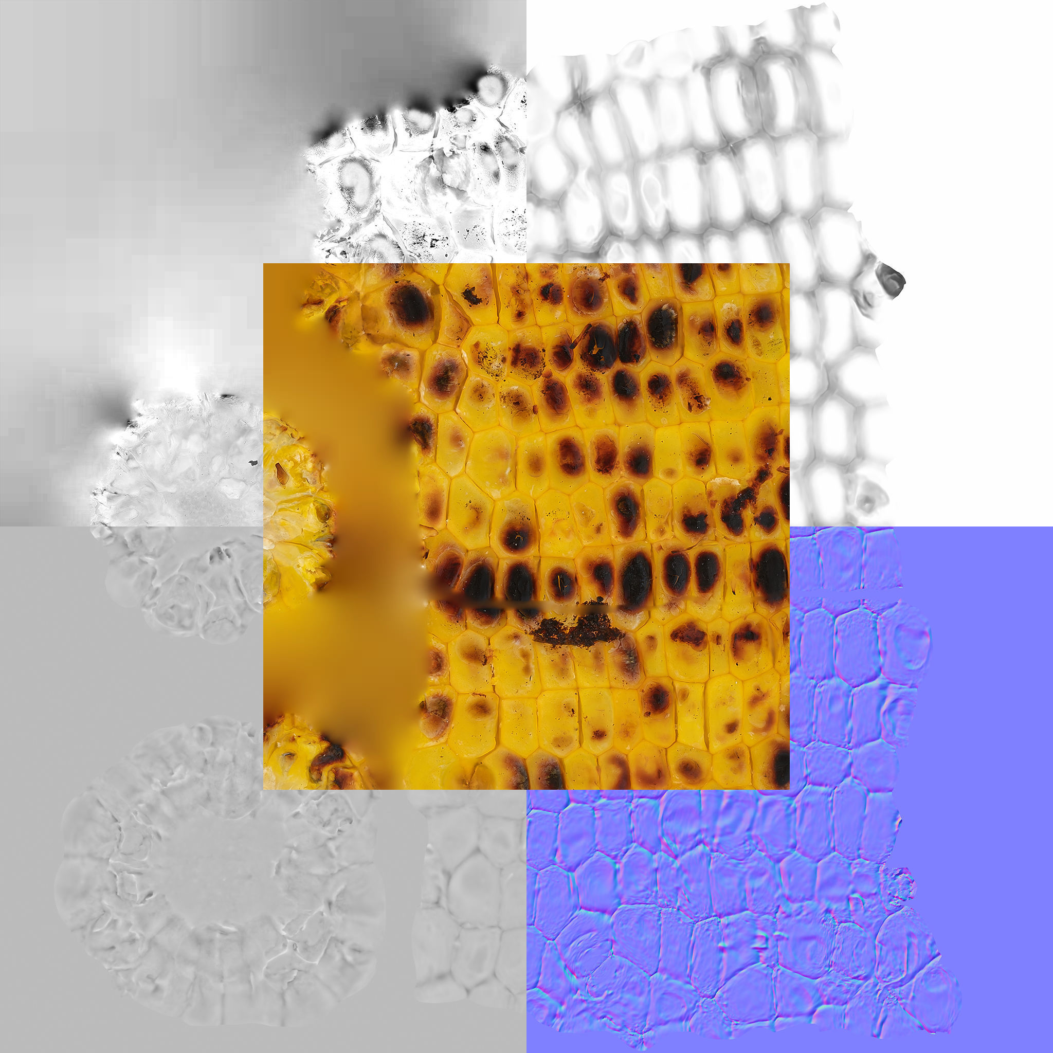 Grilled Corn 3D model_10