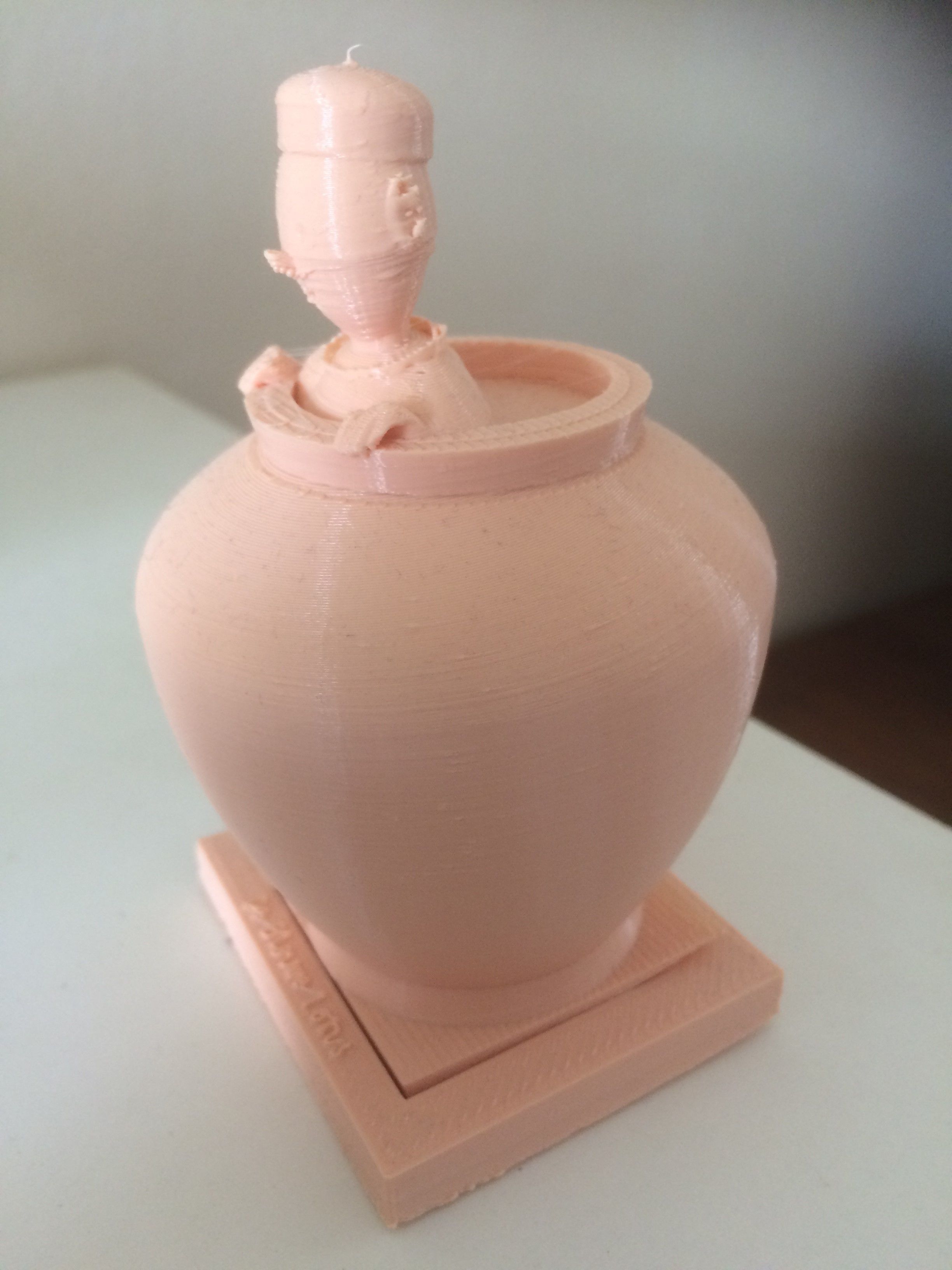 Tintin in vase 3D print model_3