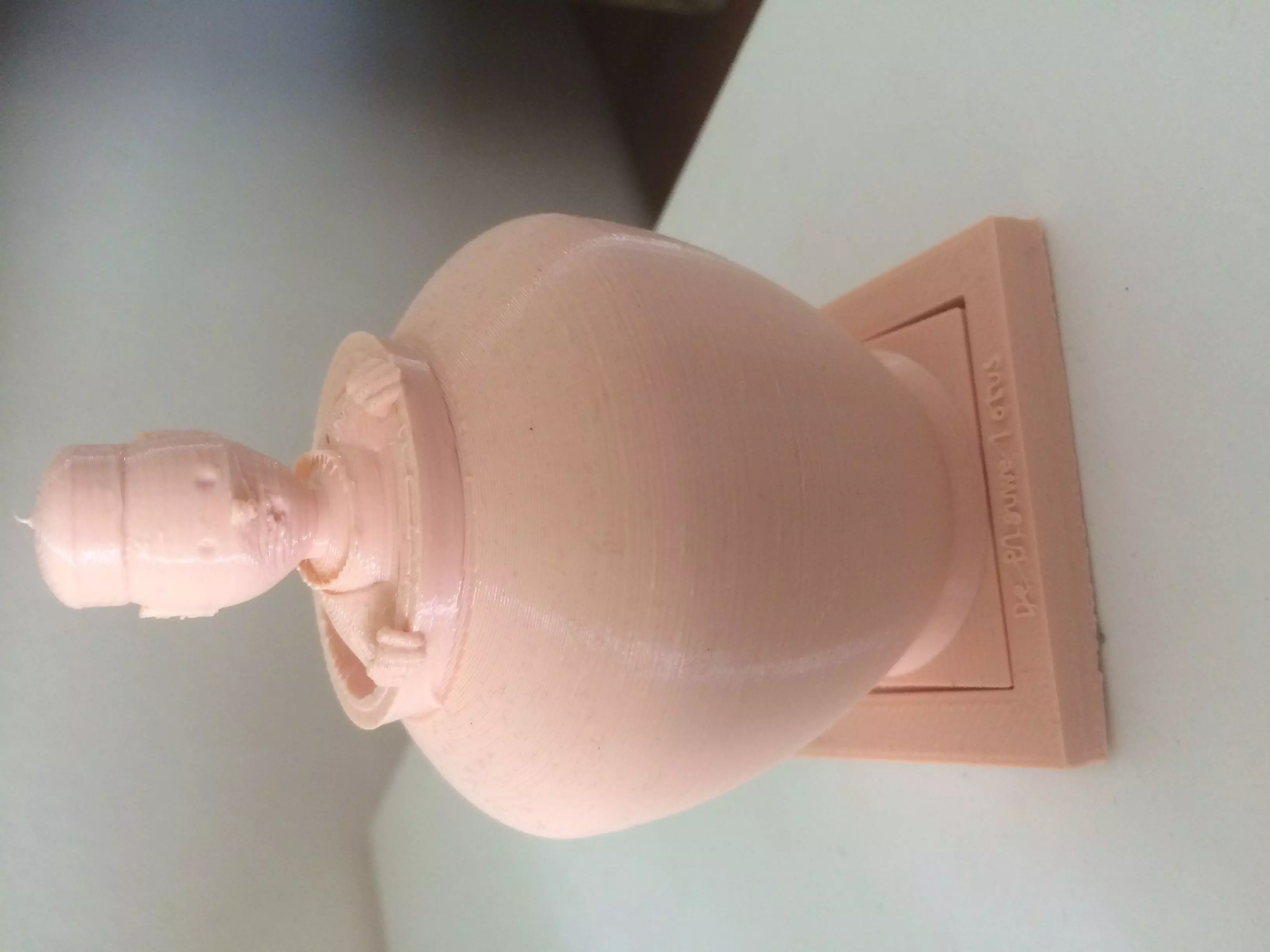 Tintin in vase 3D print model_0