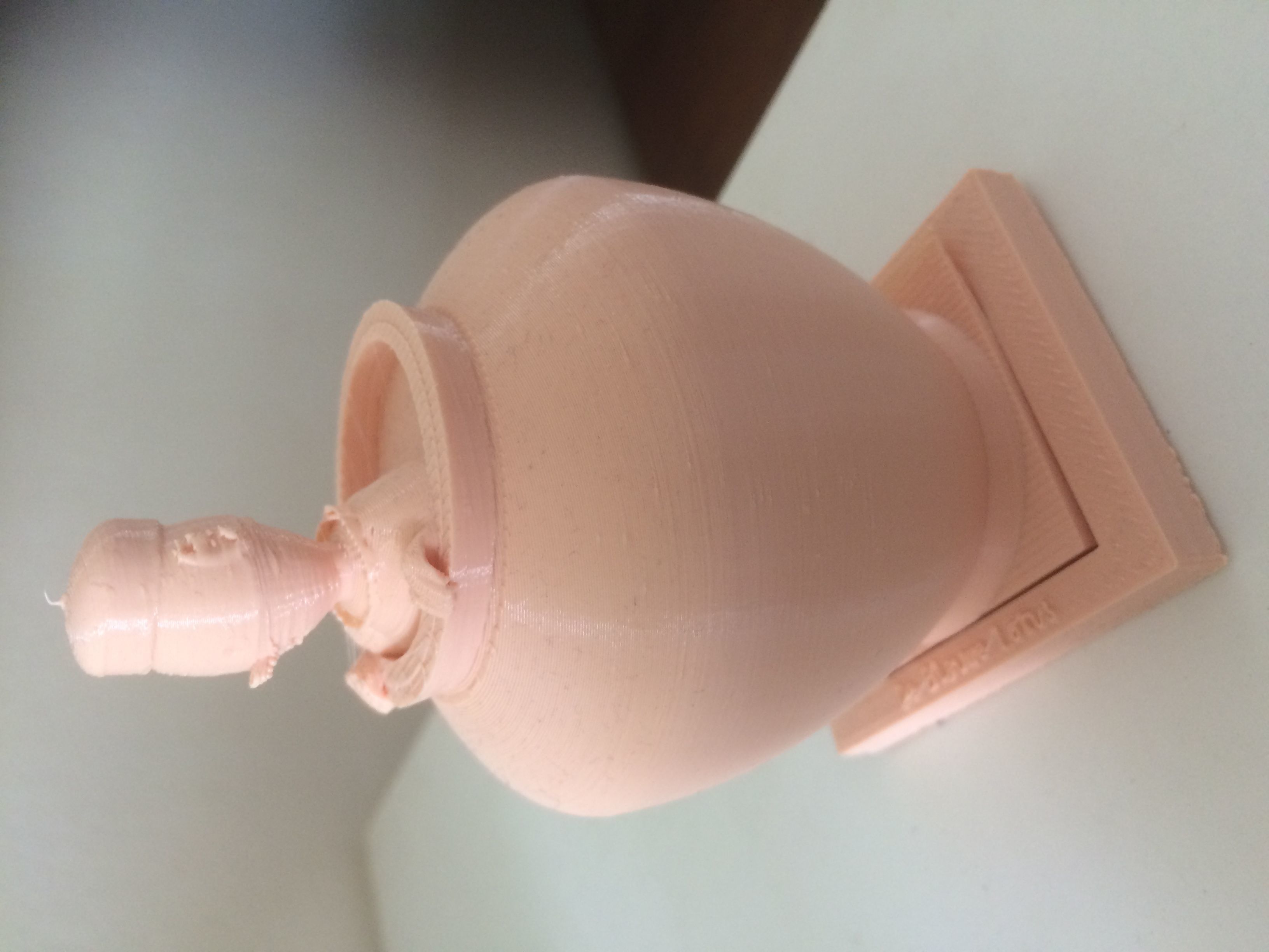 Tintin in vase 3D print model_1