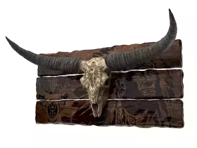 Bull skull with horns 3D model