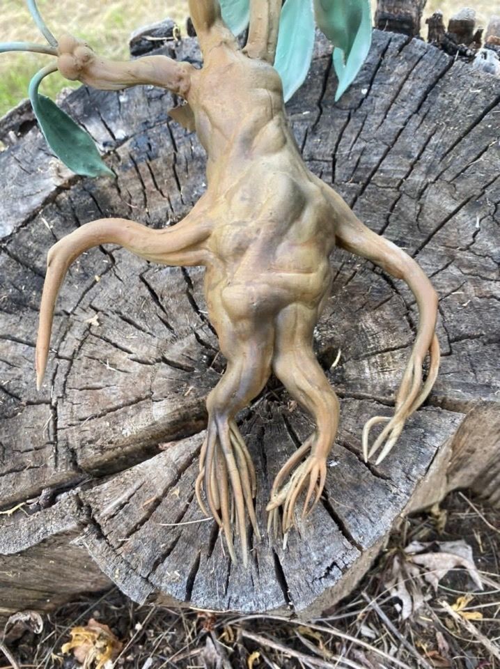 mandrake root plants from the Harry Potter movie 3D print model_7