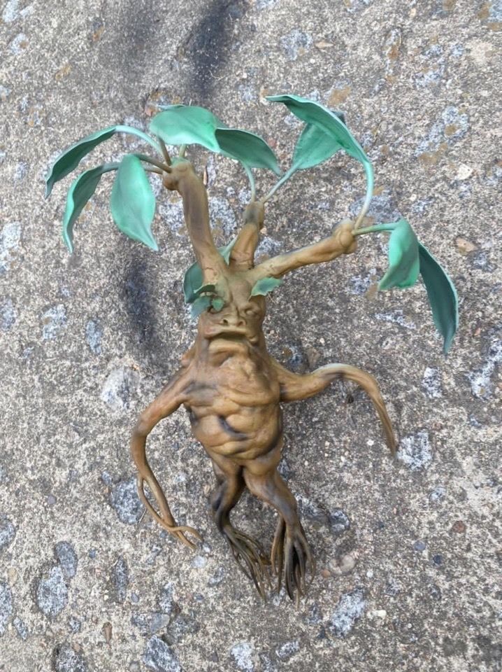 mandrake root plants from the Harry Potter movie 3D print model_6