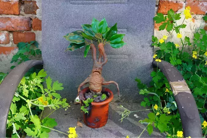  mandrake root plants  from the Harry Potter movie  3D print model