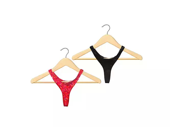 Wardrobe Hanger With Hanged Panties
