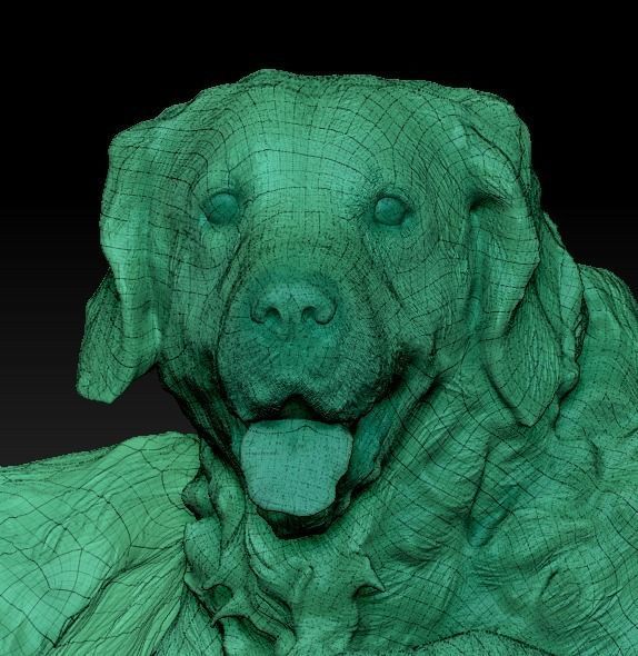 Golden retriever 17 Low-poly 3D model_5