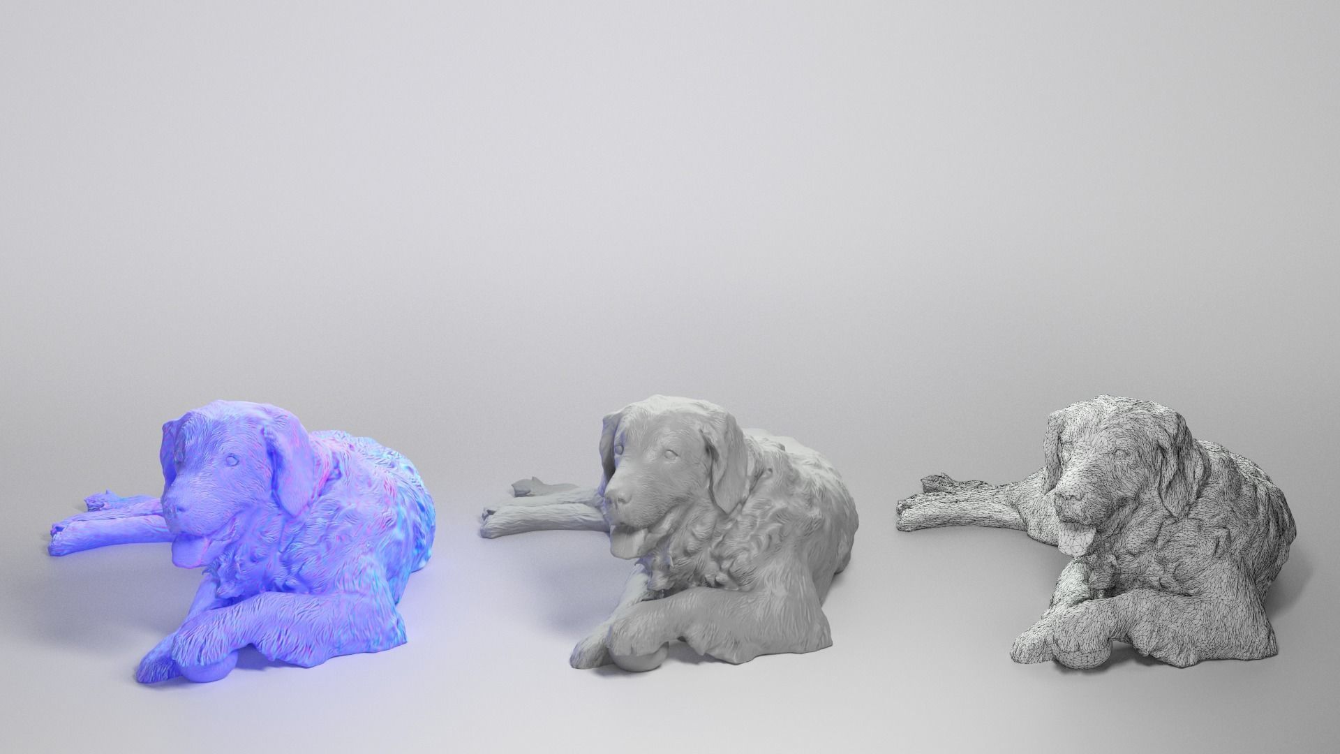 Golden retriever 17 Low-poly 3D model_3