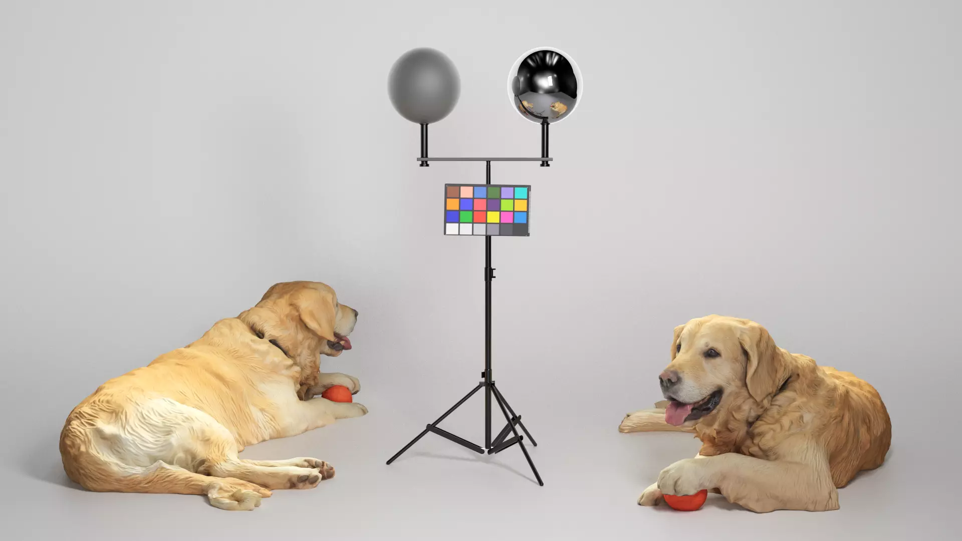 Golden retriever 17 Low-poly 3D model_0