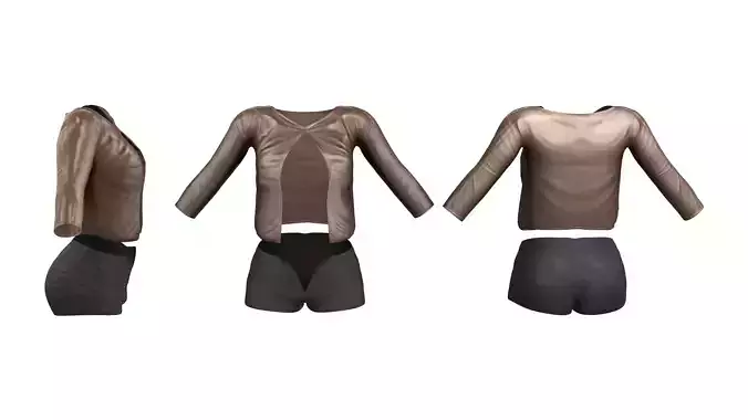 Open Front Sheer Shirt and Shorts