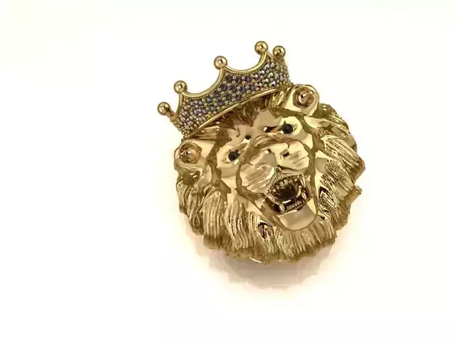 ring 1 gold lion head brooch