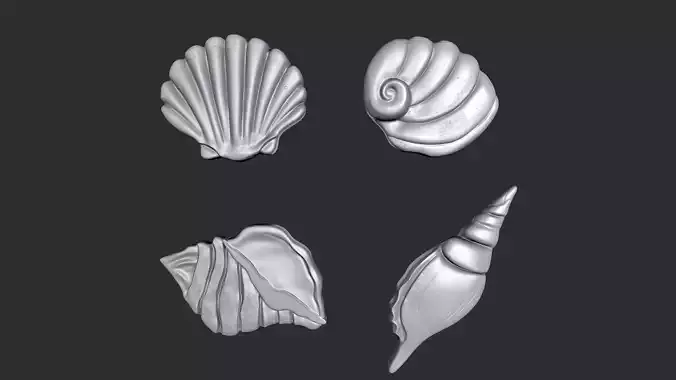 STL models for 3D printing and CNC Set of Seashells 3D print model