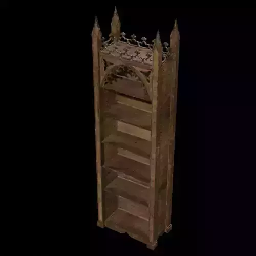 Gothic Bookshelf