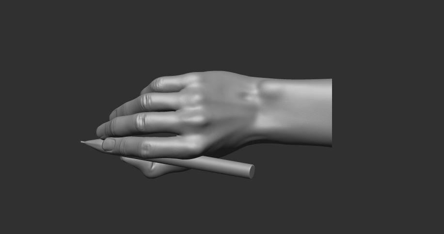writing hand posture 3D print model_6
