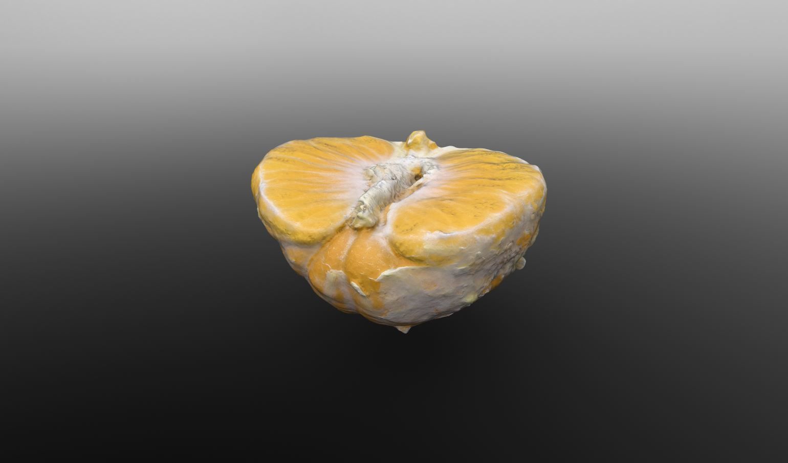 Half Clementine 3D Scan for Unreal and Unity and FBX Low-poly 3D model_7